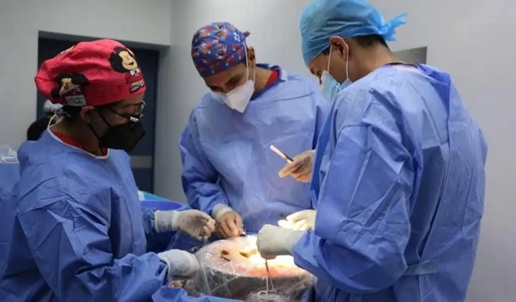 Sólo 8 trasplantes se realizaron en Tabasco de enero a marzo 