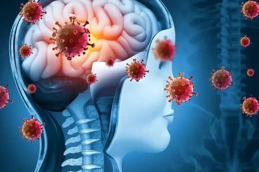 Prueba molecular buscar mejorar diagnóstico oportuno de meningitis en México