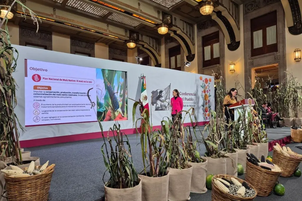 Impulsarán en Tabasco la producción y venta del maíz nativo con plan nacional