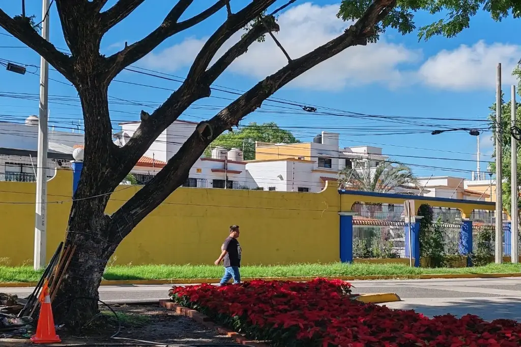 Villahermosa se alista para el encendido de luces y la colocación de nochebuenas