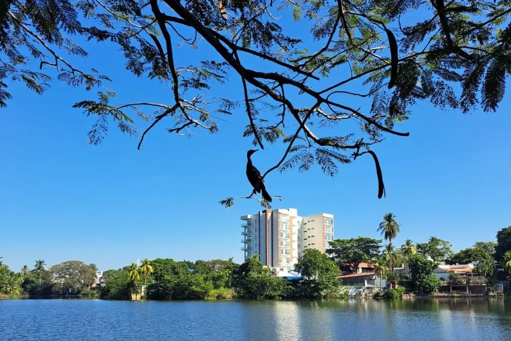 Pronostican para Tabasco lluvias aisladas este viernes