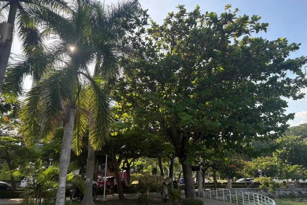Prevén en Tabasco un viernes soleado y fresco; sin pronóstico de lluvias