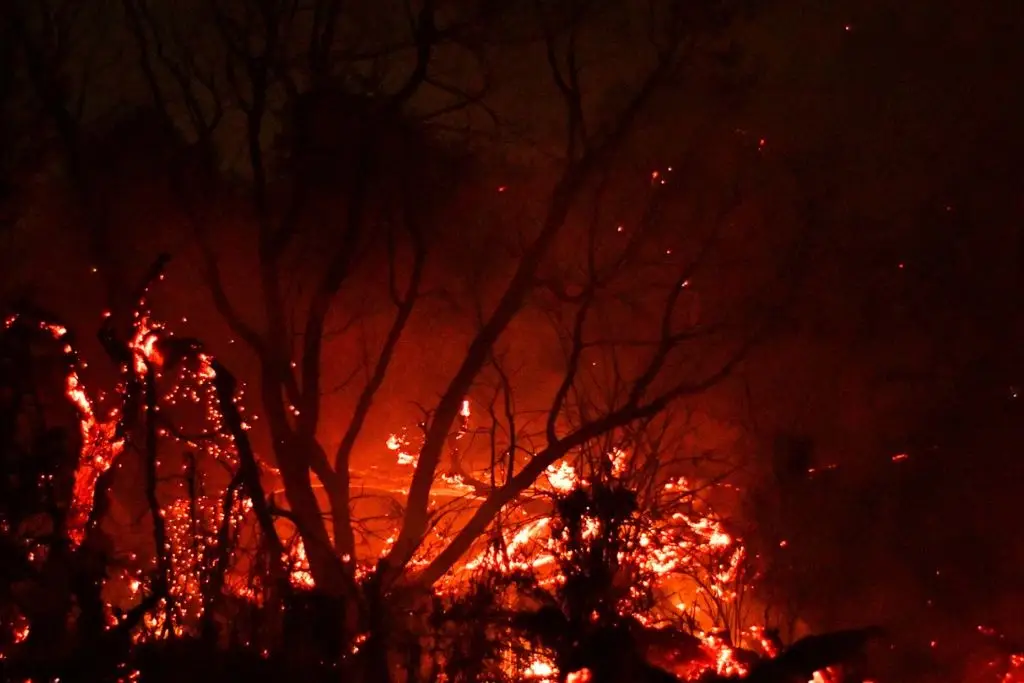 Incendios forestales se expanden en Argentina y el Gobierno amplía la emergencia 