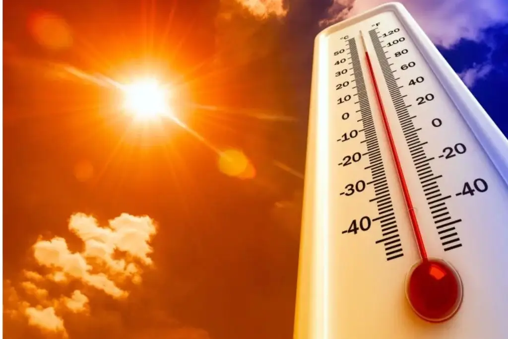 Primera onda de calor impacta México en pleno invierno; interactúa con frentes fríos 35 y 36