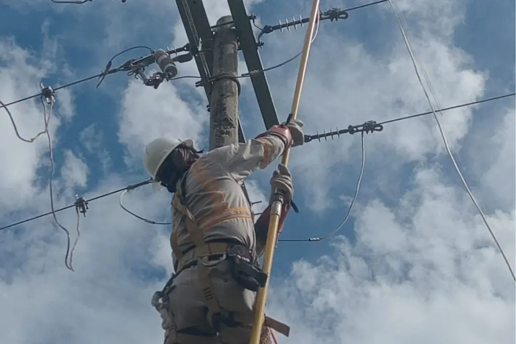 CFE cierra 2025 con beneficios récord de 139 millones de pesos