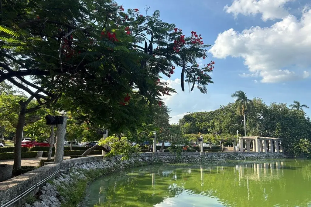 Prevén en Tabasco intervalos de chubascos y clima cálido este jueves
