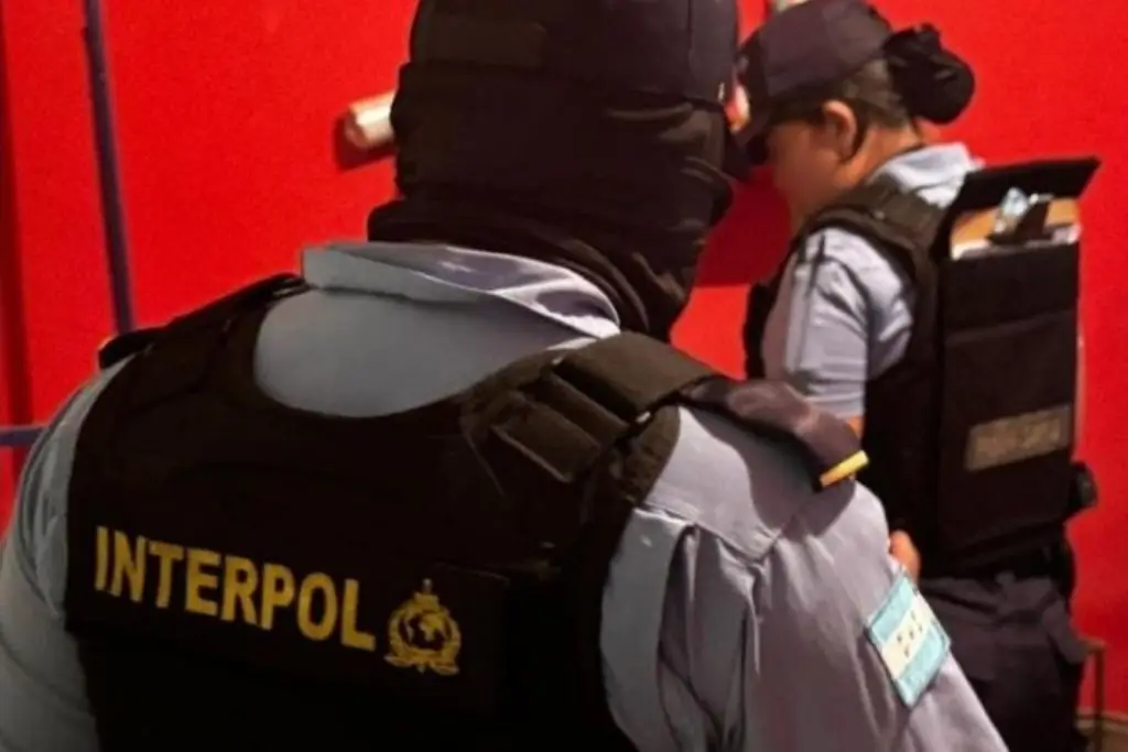 Rescatan a 65 menores víctimas de abusos sexuales en 9 países latinoamericanos