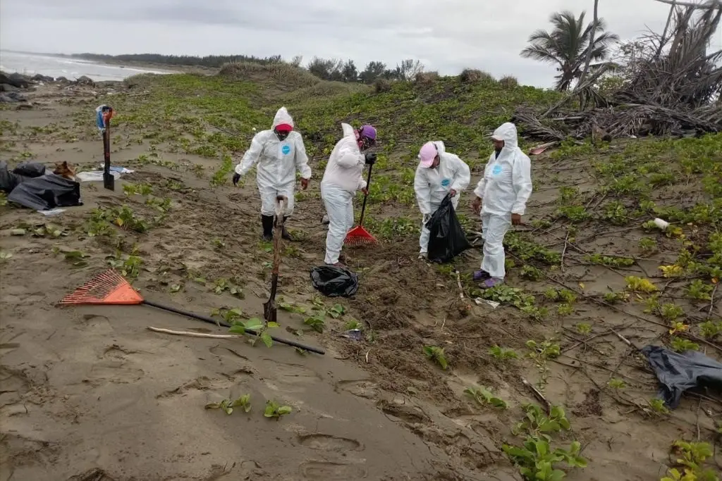 Aún se desconoce al responsable de derrame de crudo en el sureste: Sheinbaum