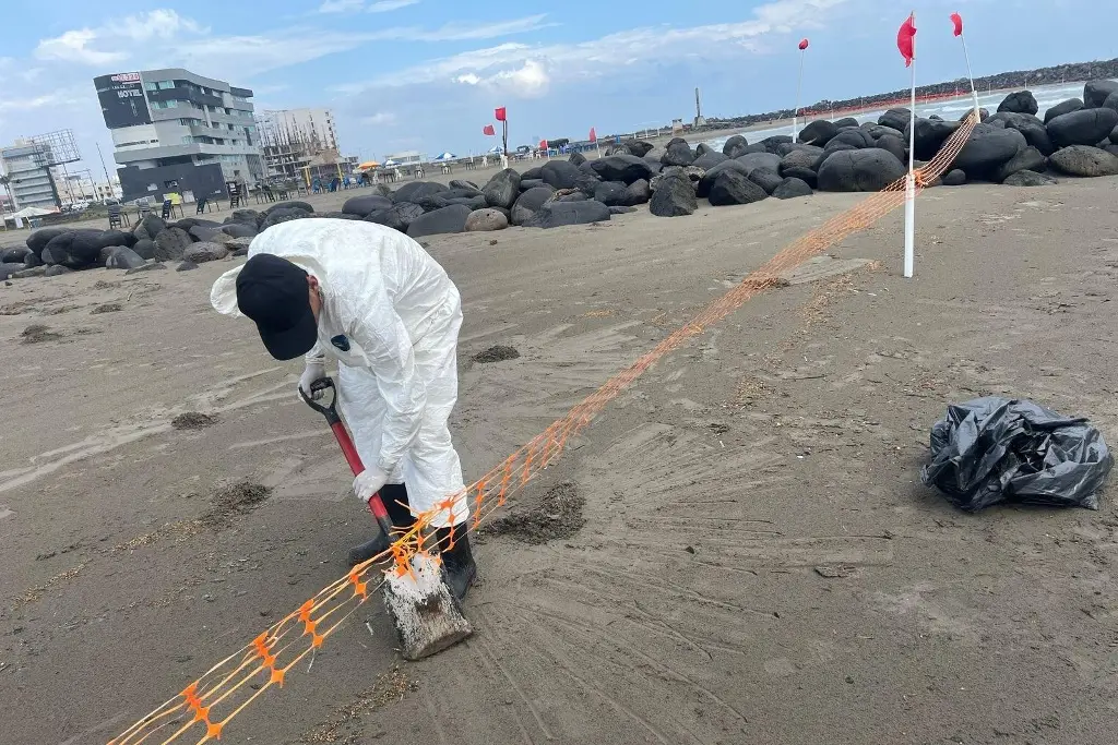 Derrame de crudo afecta 933 kilómetros de costa de Tabasco a Tamaulipas