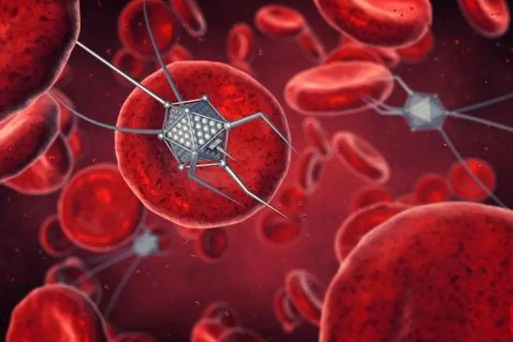 Nanopartícula desarrollada en una universidad española abre una vía contra el cáncer  