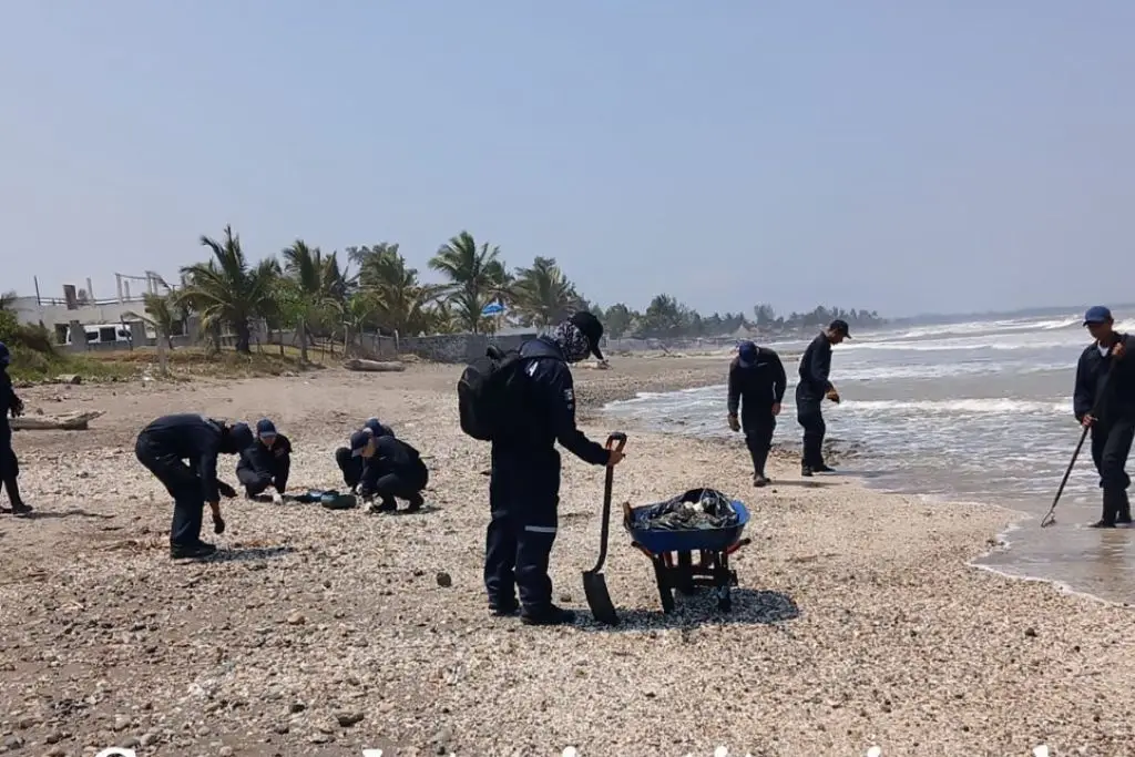 Suman 894 toneladas de crudo recolectado tras derrame en Golfo de México