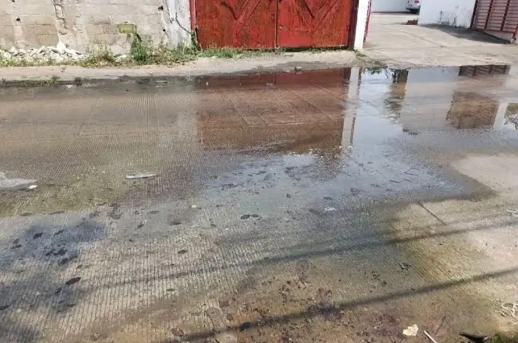 Piden reparar fugas de agua en Nueva Villahermosa