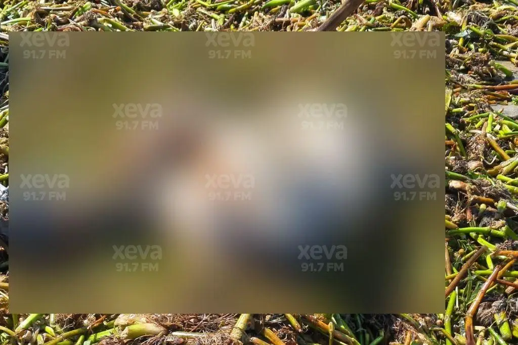 Hallan cuerpo sin vida en afluente de Chiltepec, Paraíso