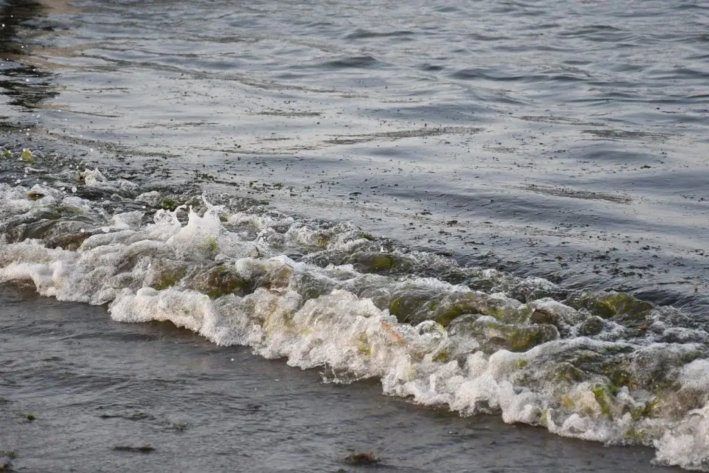 Pemex admite que fuga en ducto causó derrame; separan de su cargo a 3 funcionarios 