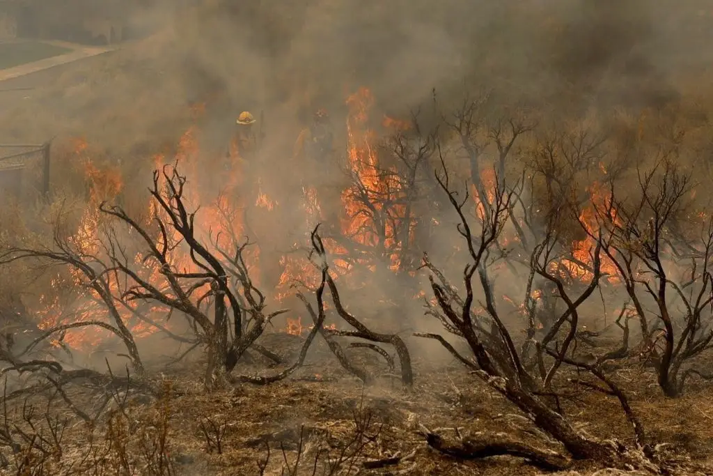 Reportan 22 incendios forestales activos en México; 2 afectan áreas naturales protegidas