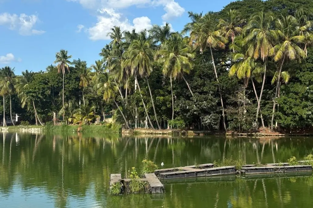 Calor predominará en Tabasco este viernes; cierra semana con cielo despejado