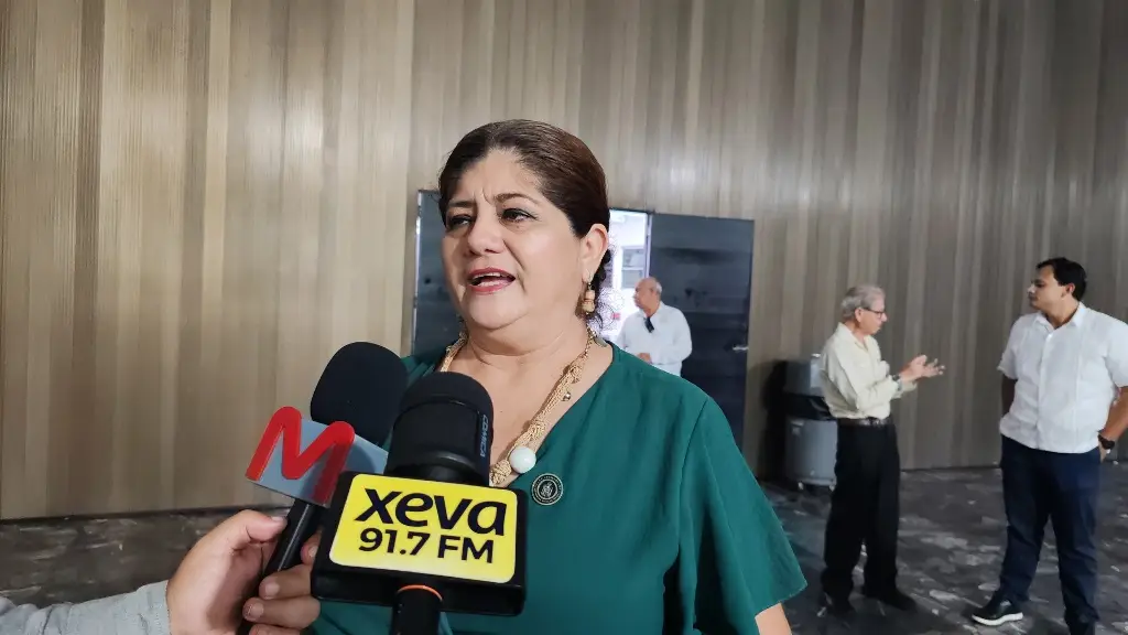 Pide diputada paciencia ante fallas eléctricas, llama a CFE a redoblar esfuerzos 