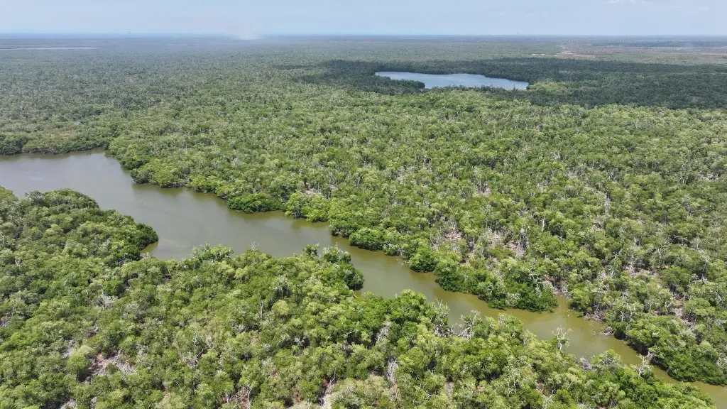 Declaran Área Natural Protegida a 'Cinco Lagunas' en Comalcalco 