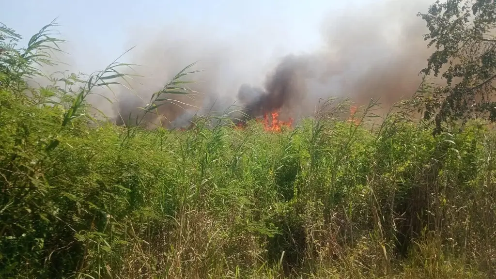 Lluvias ayudan al control de incendios forestales en Tabasco 