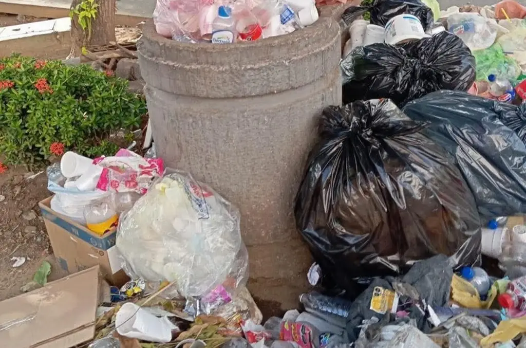 Proponen uso de videovigilancia para detectar y sancionar a quien tire basura en vía pública 