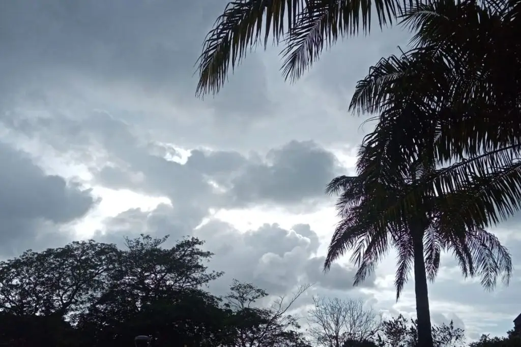 Lluvias muy fuertes a intensas se esperan en Tabasco este martes por onda tropical 16