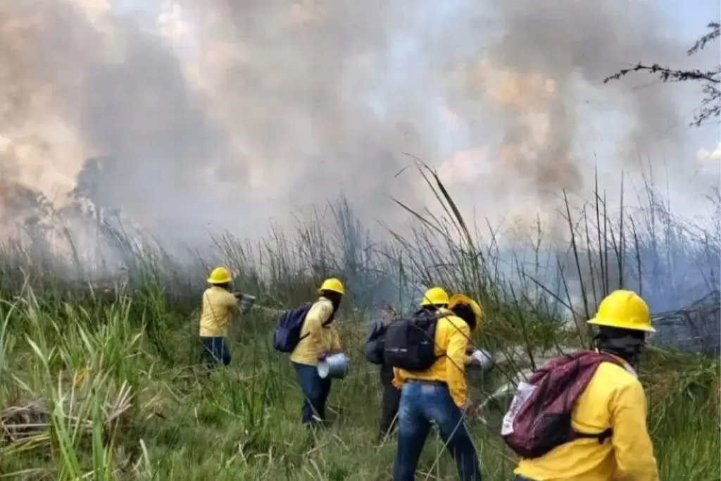 Tabasco registra 75 incendios forestales en 2026, informa CONAFOR