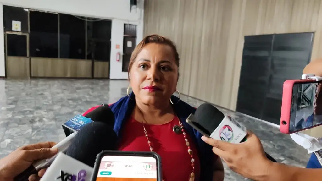 'Solo son son rumores', señala diputada María Félix sobre versiones que dejará Morena