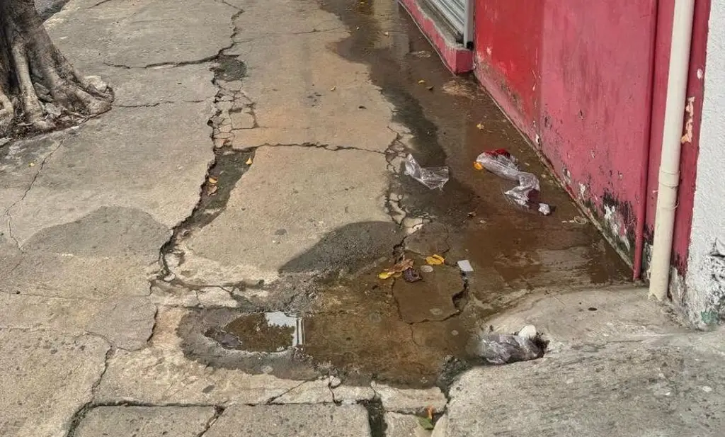 Solicitan reparar fuga de agua en Heroico Colegio Militar 