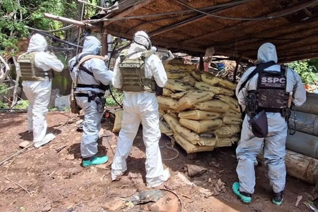 Desmantelan cuatro laboratorios de producción de drogas en Michoacán y Guerrero  