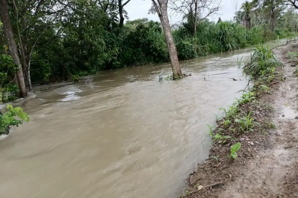 Ríos de Tabasco mantienen tendencia descendente; Usumacinta sigue en nivel de desbordamiento