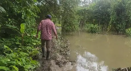 Habitantes de Pichucalco en Teapa denuncian abandono en mantenimiento del afluente