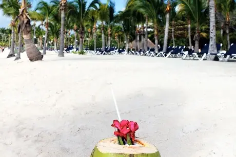 Gobierno garantizará acceso gratuito a playas de Tulum