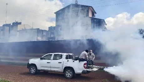 Solicitan fumigación ante plaga de mosquitos en el sector Armenia de Gaviotas