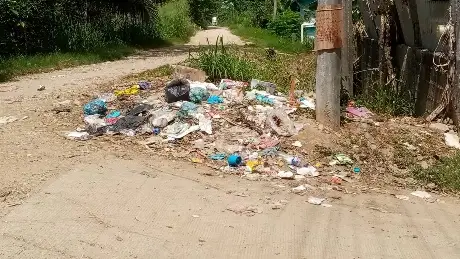 Denuncian mal servicio de recolectores de basura en Gaviotas