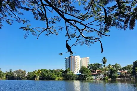 Da clic para enterarte