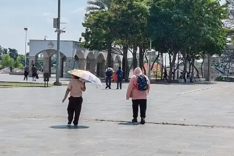 Da clic para enterarte