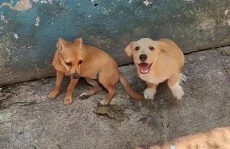 Da clic