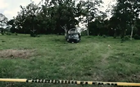 Fallece hombre por ataque de abejas a las afueras de Villahermosa